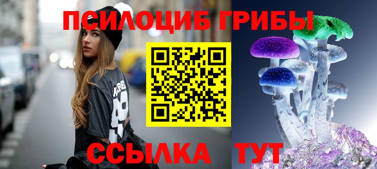 Чебоксары  Псилоцибиновые грибы Psilocybine cubensis  Вход с VPN 